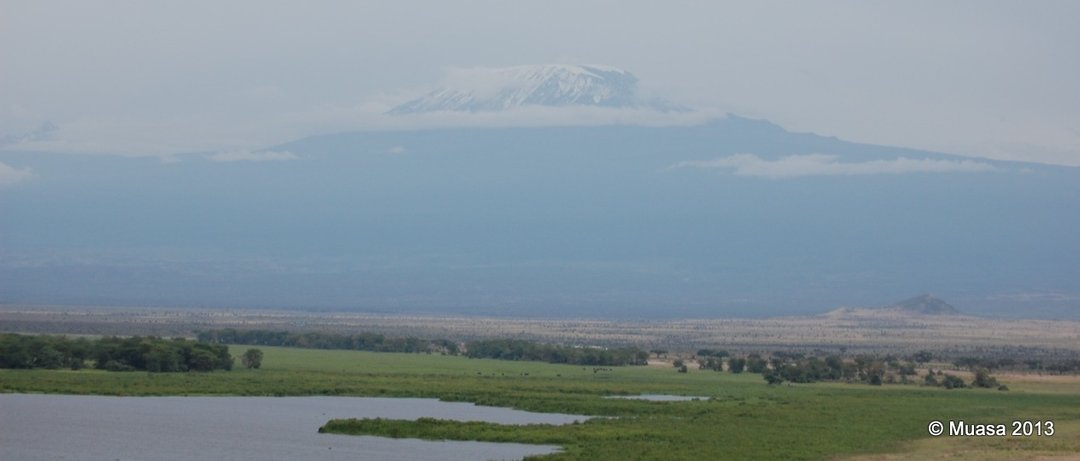 Kiimanjaro, from Aboseli National Park